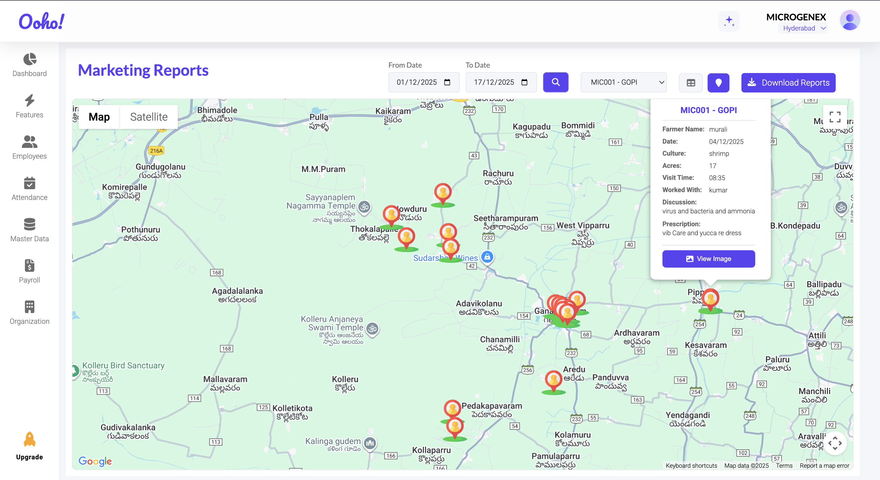 Marketing Reports Dashboard